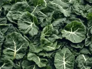 f688a337-b6a5-4efa-ac02-85f8f23bca80